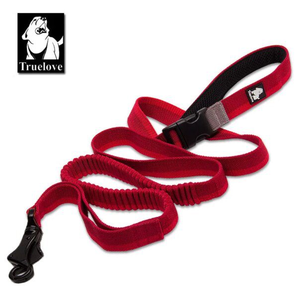 Laisse élastique rétractable (bungee) en nylon – Course fluide & chocs