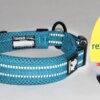 Collier pour Chien Rembourré 3M™ – Confort Absolu, Sécurité Nocturne