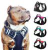 Harnais Chien Sans Traction Respirant – Contrôle, Sécurité & Confort