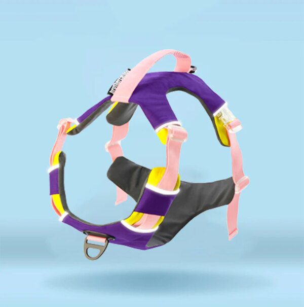 74085-9b4175.jpg Harnais & Laisse Assortis pour Chiens de Compagnie – Réglables, Réfléchissants