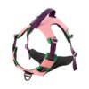 Harnais Gilet Chien – Laisse Assortie