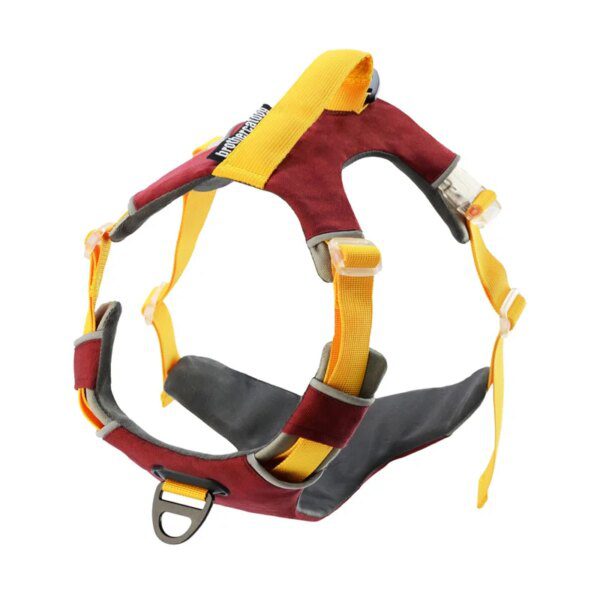 Harnais Gilet Chien – Laisse Assortie