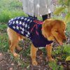 Pull britannique en tricot de Noël pour chien moyen & grand 🧶🎄