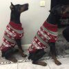 Pull britannique en tricot de Noël pour chien moyen & grand 🧶🎄