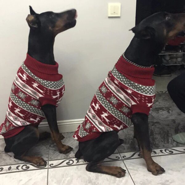 Pull britannique en tricot de Noël pour chien moyen & grand 🧶🎄