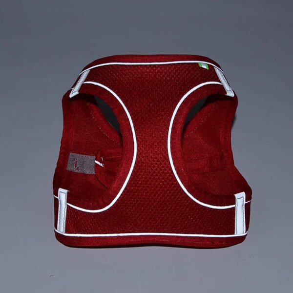 Harnais + Laisse Réglables pour Petits Chiens & Chats – Confort Doux