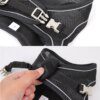 Harnais + Laisse Réglables pour Petits Chiens & Chats – Confort Doux