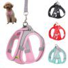 Harnais + Laisse Réglables pour Petits Chiens & Chats – Confort Doux