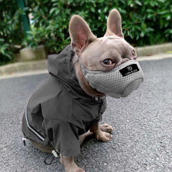museliere chien Véritable museau de chien en cuir Anti-mordant chiens Traning museau pas de morsure Anti-aboiement
