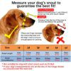 museliere chien Anti-morsure en caoutchouc souple pour chien, accessoire pour animaux de compagnie, petit, moyen et grand gabarit, Pitbull Labrador