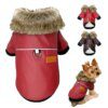 Manteau pour chien en cuir - Veste chaude hiver imperméable