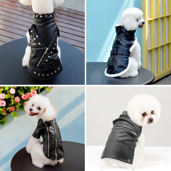 Manteau pour chien en cuir - Veste chaude hiver imperméable
