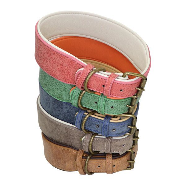 Collier en Cuir Clouté Résistant pour Chien – Puissance Maîtrisée, Protection du Cou