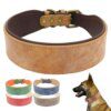 Collier en Cuir Clouté Résistant pour Chien – Puissance Maîtrisée, Protection du Cou