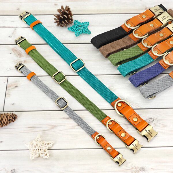Collier & Laisse Personnalisés en Nylon & Cuir Véritable – Style Affirmé