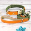 Collier & Laisse Personnalisés en Nylon & Cuir Véritable – Style Affirmé