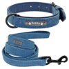 75105-d38b7b.jpg Set Laisse et Collier Cuir Personnalisé pour Chien – Didog