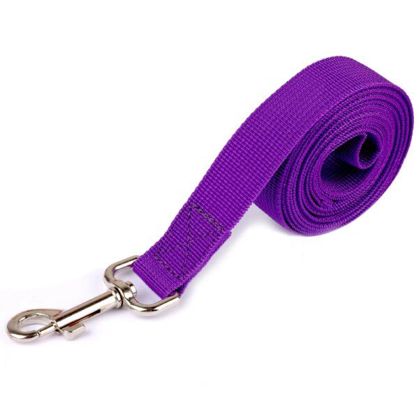 Laisse en cuir suédé avec strass – Élégance douce & promenade