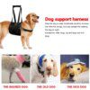 75382-16db95.jpg Harnais de Levage Réfléchissant VIP pour Chien – Soutien Renforcé