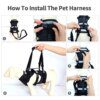 Harnais de Levage Réfléchissant pour Chien – Soutien, Sécurité & Aide