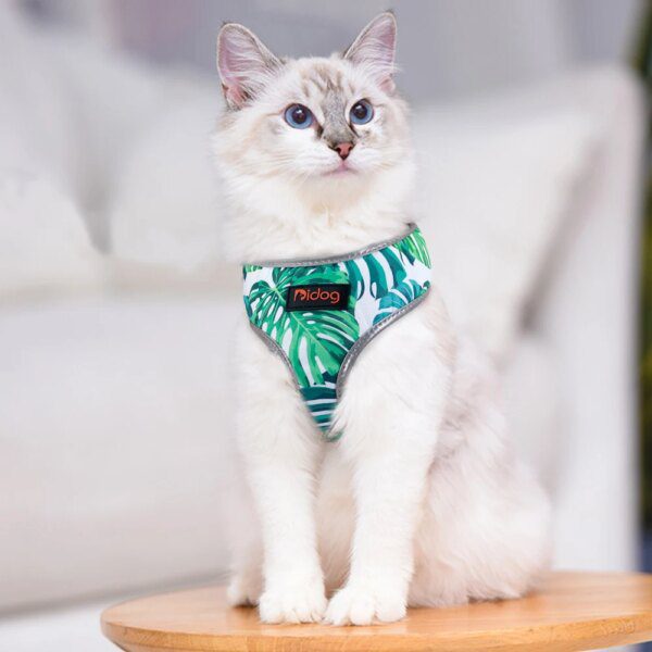 Harnais Chien & Chat en Maille Nylon Réfléchissante – Léger, Respirant & Stylé