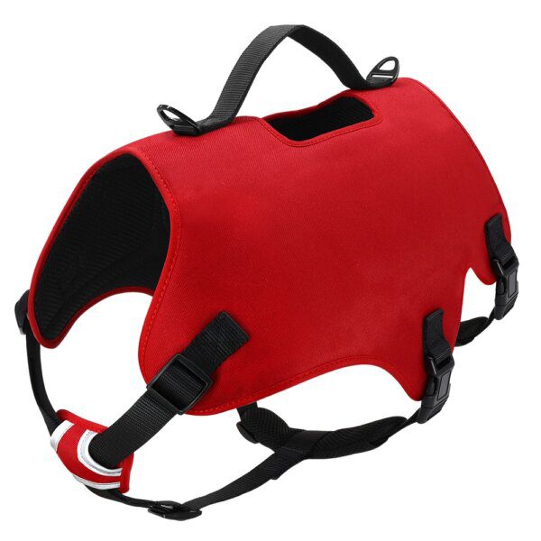 Harnais Chien Réfléchissant en Maille Nylon – Contrôle Sans Traction