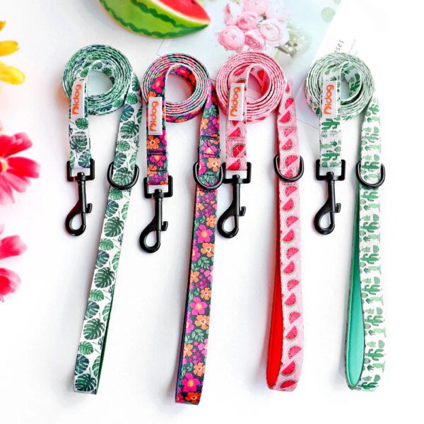 75500-655b62.jpg Laisse imprimée en nylon 150 cm – Style visible