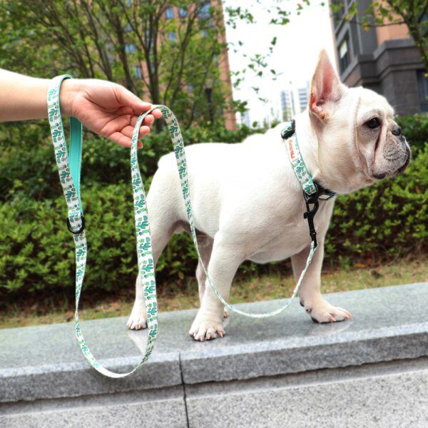 Laisse imprimée en nylon 150 cm – Style visible