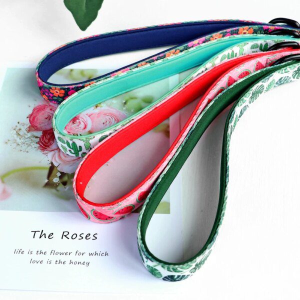 Laisse imprimée en nylon 150 cm – Style visible