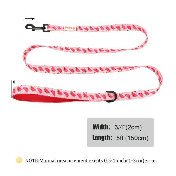 Laisse imprimée en nylon 150 cm – Style visible