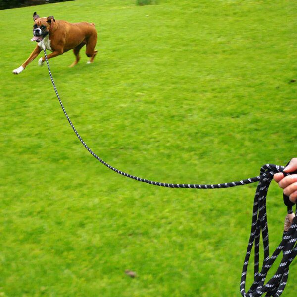 Laisse longue réfléchissante en nylon – Suivi sécurisé