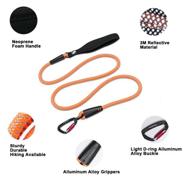 Laisse en nylon réfléchissante TrueLove – Randonnée sûre