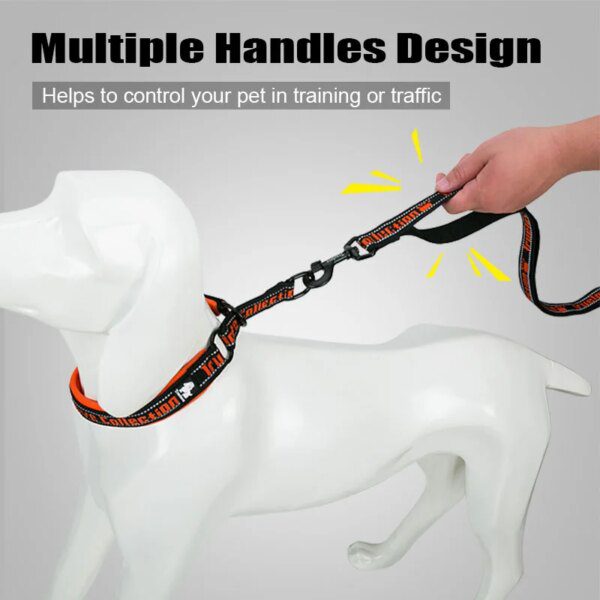 75744-2304de.jpg Laisse réfléchissante multifonction 140 cm – Contrôle précis