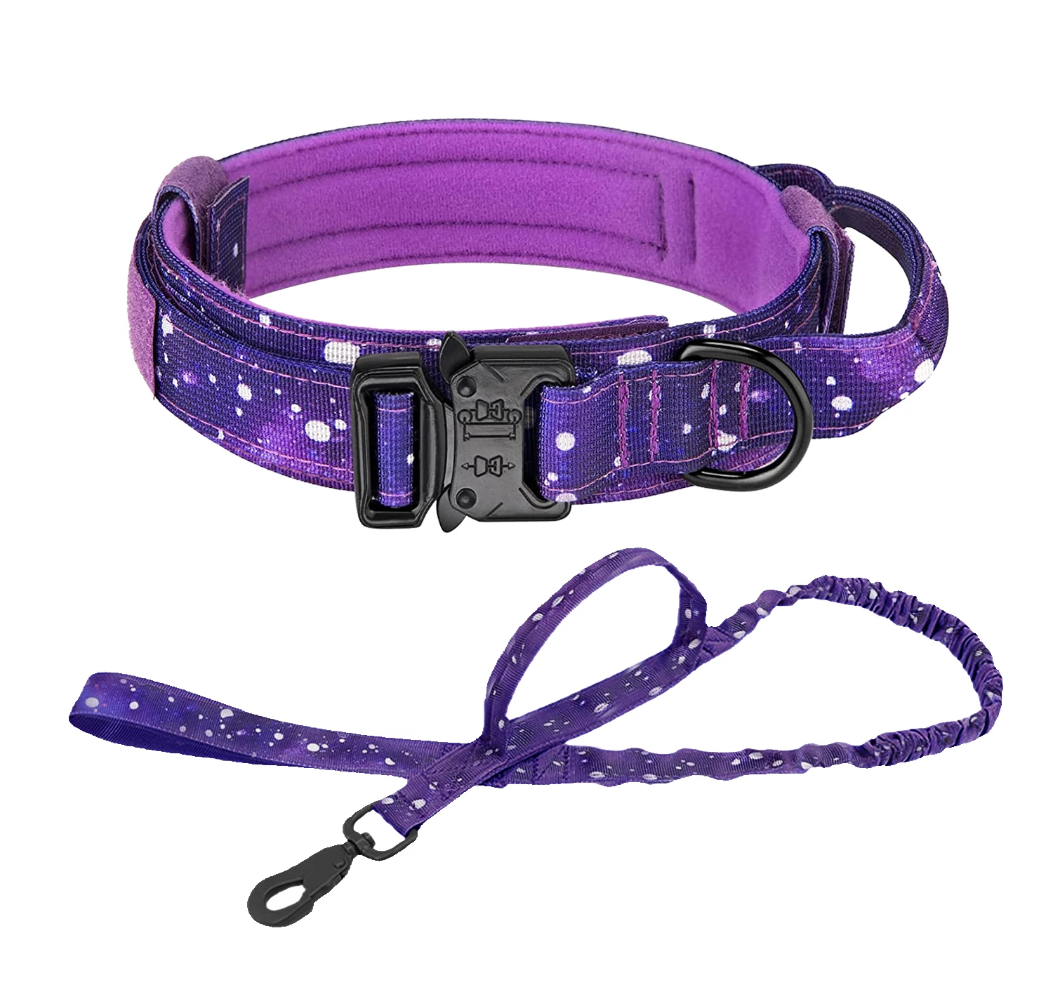 Collar and Leash-P