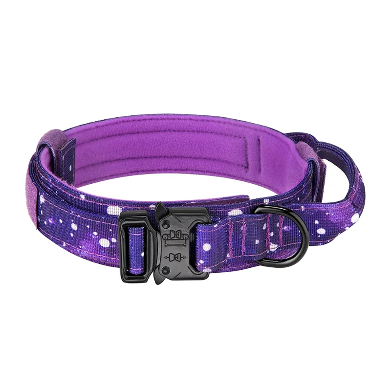 Dog Collar-Purple