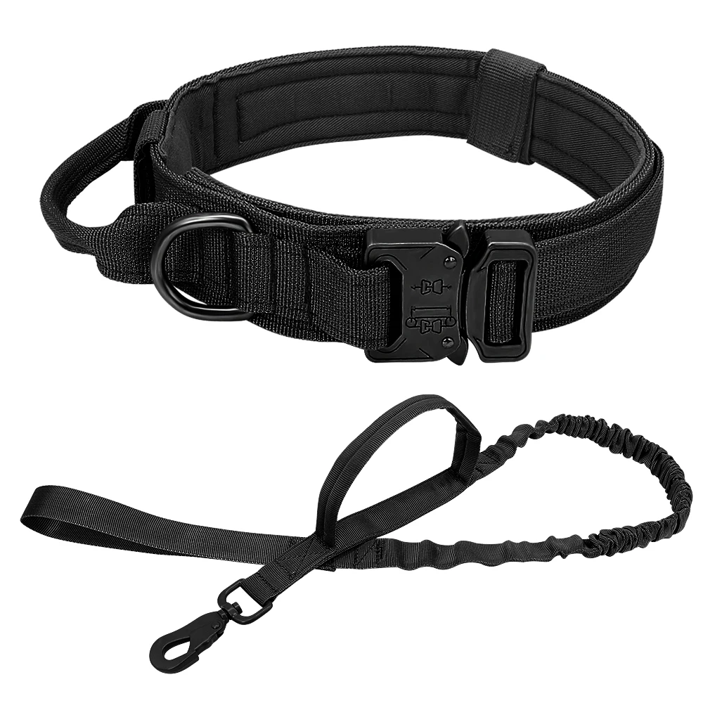 Collar and Leash-B