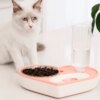 Bol d'alimentation en forme de cœur pour animaux de compagnie