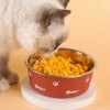 Gamelle Chien & Chat Inox + Base Antidérapante – Simple, Durable