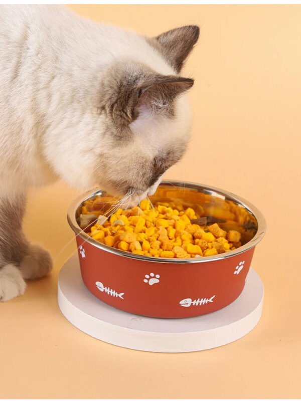 Gamelle Chien & Chat Inox + Base Antidérapante – Simple, Durable