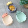 Gamelle Chien & Chat Ananas Cartoon – Bol en Plastique Design