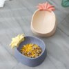 Gamelle Chien & Chat Ananas Cartoon – Bol en Plastique Design