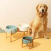Gamelle Chien Double en Céramique Surélevée avec Support en Bois – Posture Naturelle