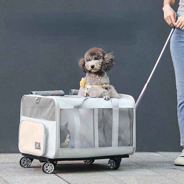 Caisse chariot amovible grande capacité