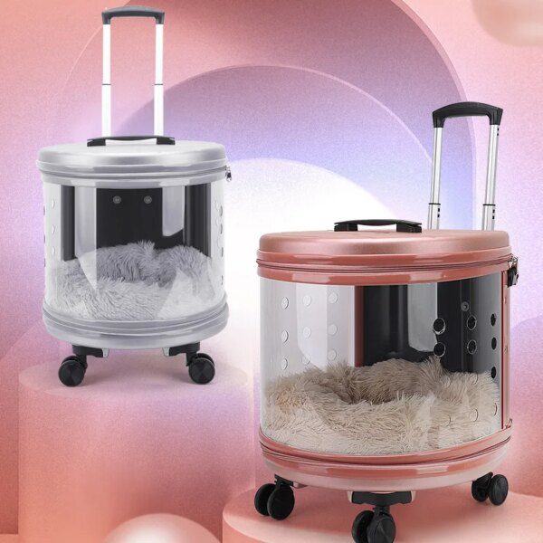 Chariot de transport capsule transparente grande vue