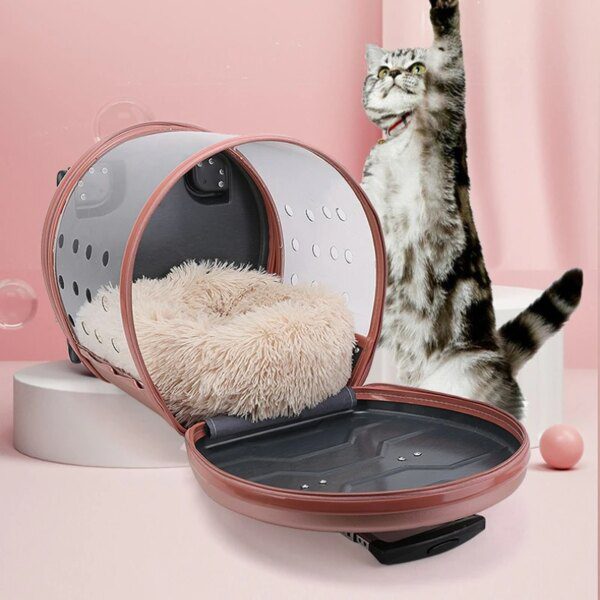 Chariot de transport capsule transparente grande vue