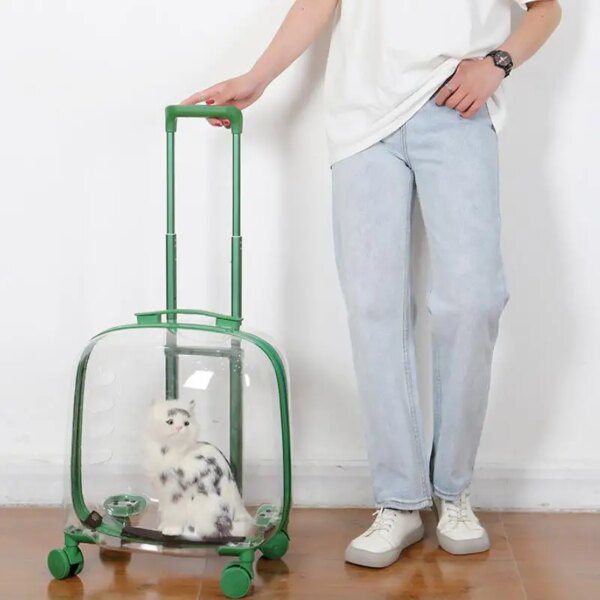 Sac à dos de voyage pour chien et chat, bagage à roulettes, valise à main