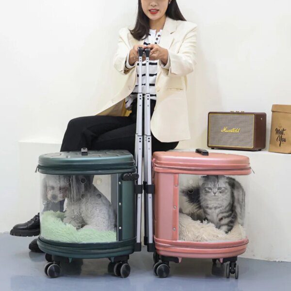 Sac à main Transparent à vue large pour animal de compagnie