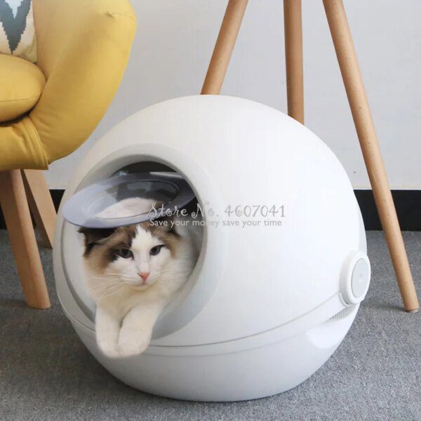 Bac à sable semi-automatique pour chats de moins de 12kg