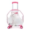 Chariot capsule transparent - valise de voyage pour chiens et chats