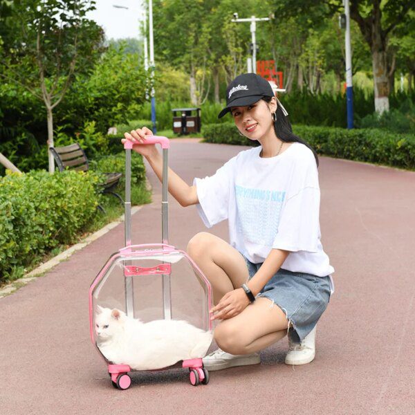 Chariot capsule transparent - valise de voyage pour chiens et chats